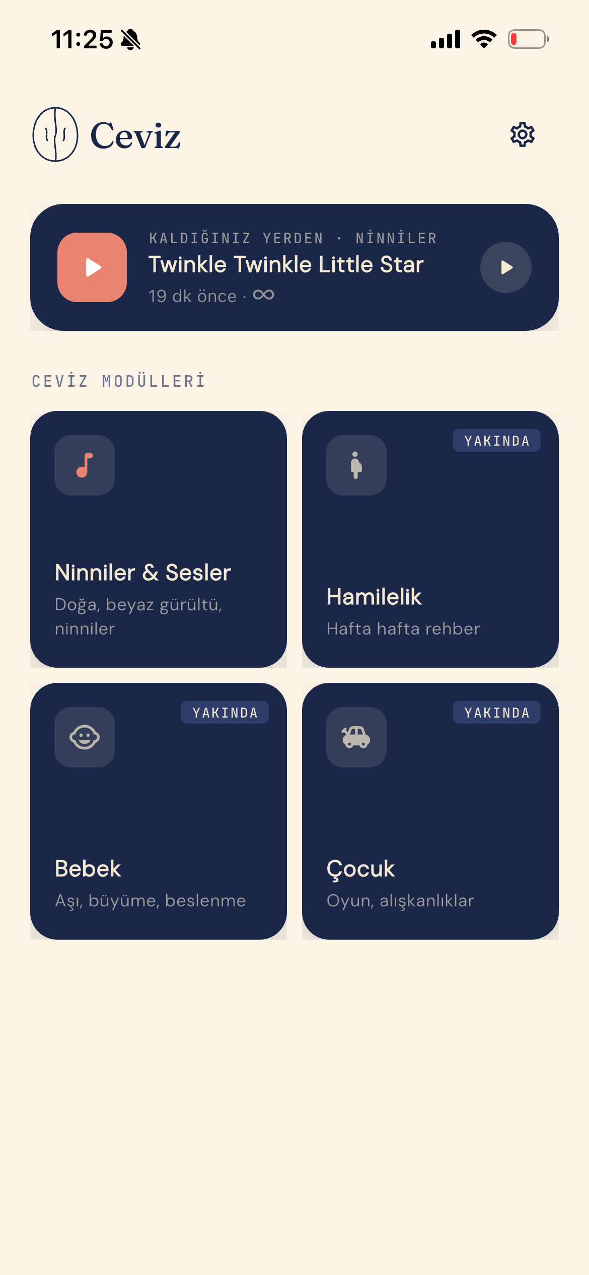 Ceviz uygulamasının ana ekranı
